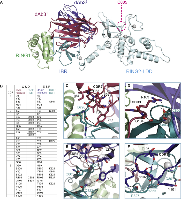 Figure 3