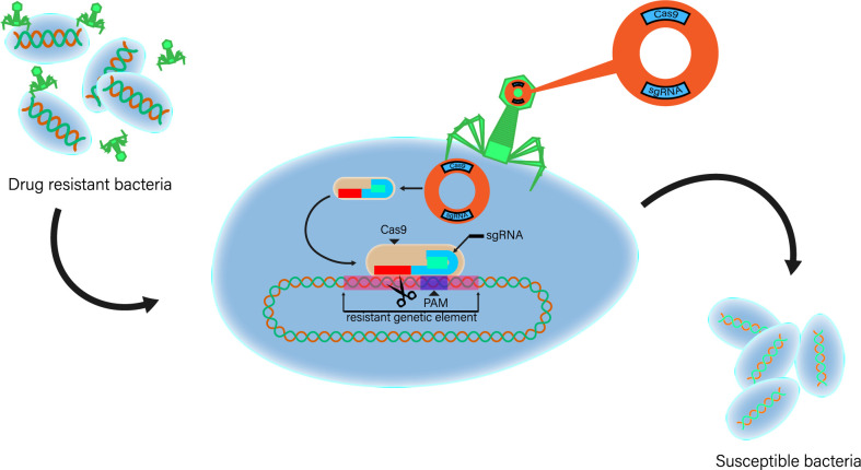 Figure 2