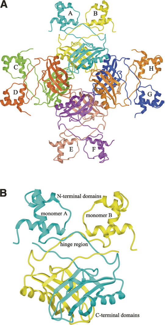 Figure 3.