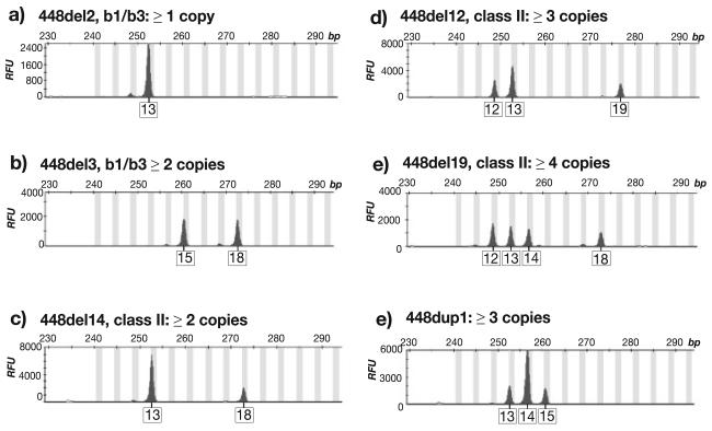 FIGURE 3