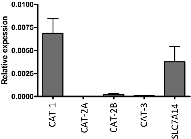 FIGURE 2.