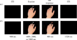 Note. A trial starts with an intertrial interval, followed by a frame depicting a static hand alongside a white fixation square.