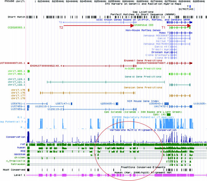 Figure 4.—