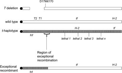 Figure 1.—