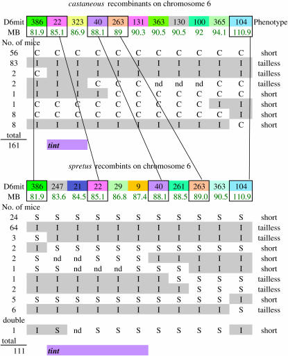 Figure 2.—