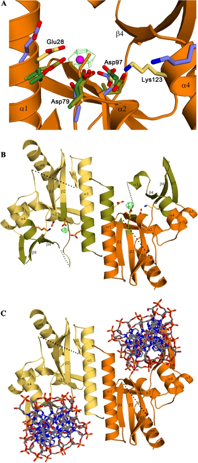 FIG. 4.