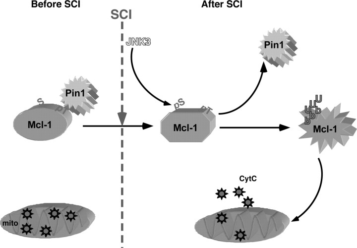 Figure 9.