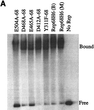 FIG. 5