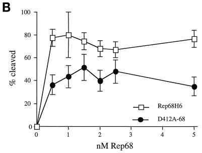 FIG. 6