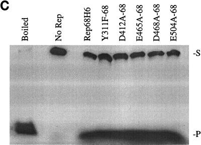 FIG. 5