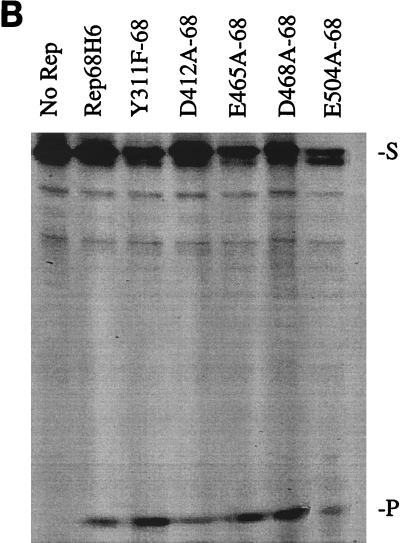 FIG. 5