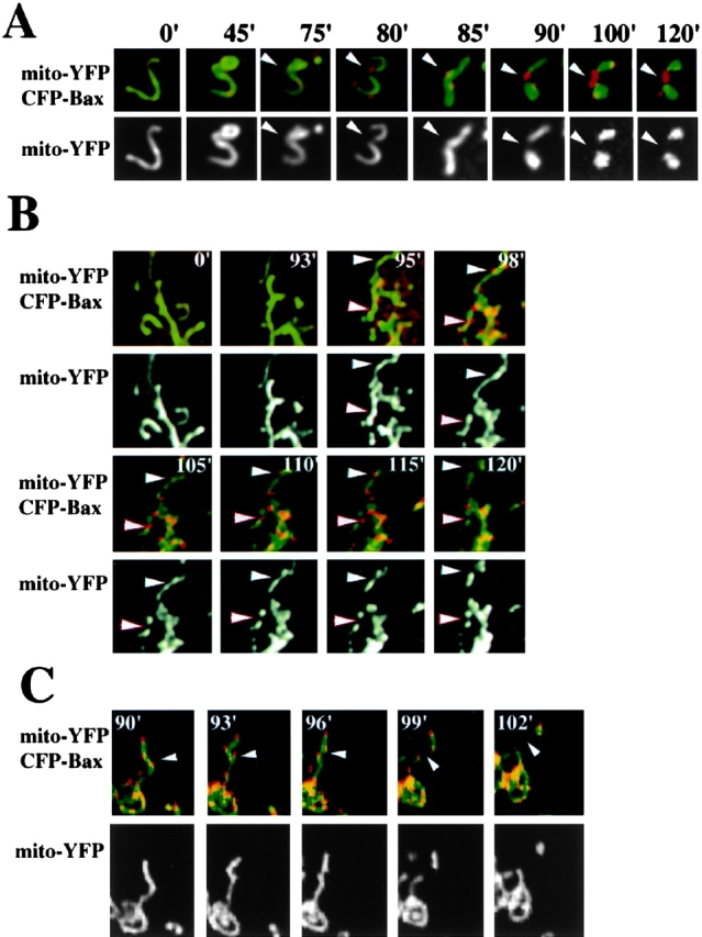 Figure 2.