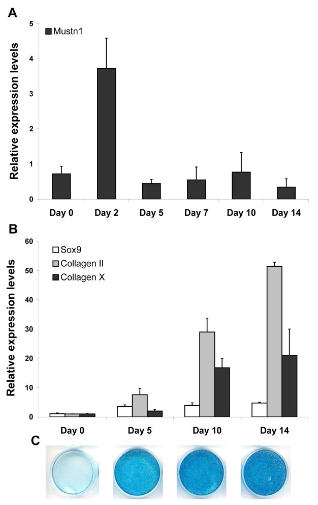 Figure 2