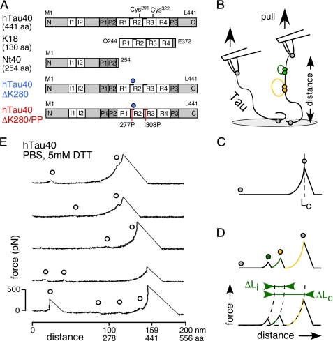 FIGURE 1.