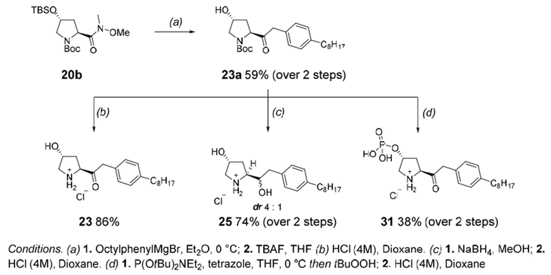Scheme 6.