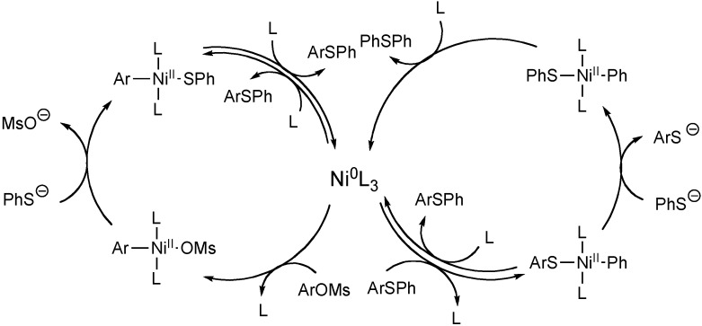 Scheme 5