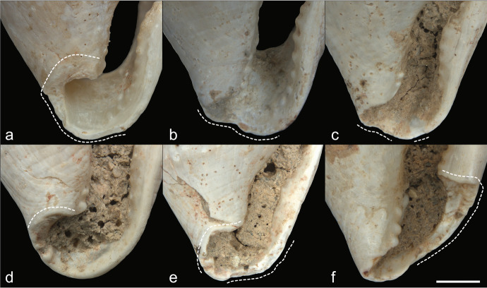 Fig. 17