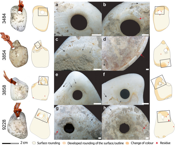 Fig. 9