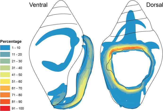 Fig. 14