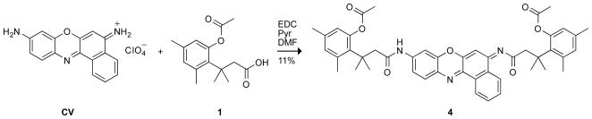 Scheme 2