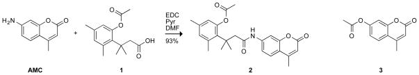 Scheme 1