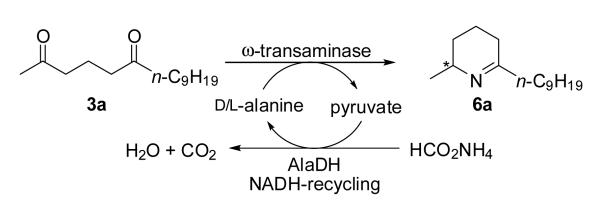 Scheme 2