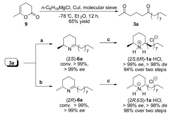 Scheme 3