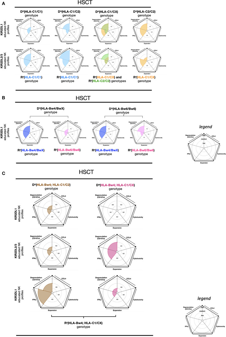 Figure 5