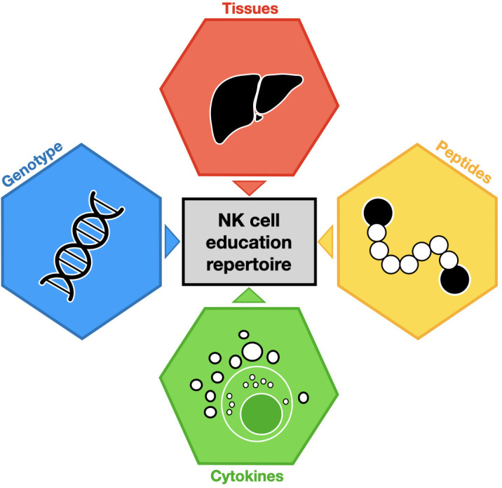 Figure 1