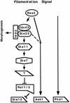 FIG. 7
