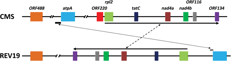 Fig. 2.