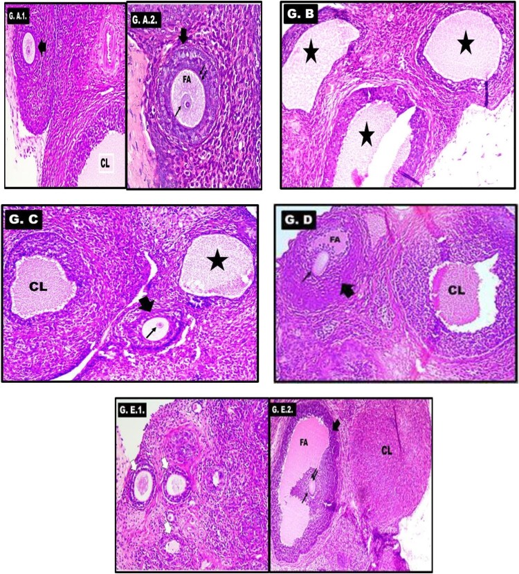 Figure 5.