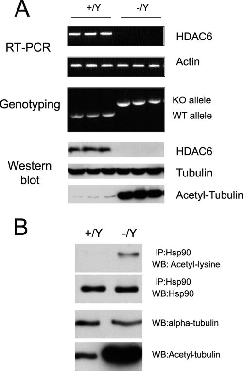 FIG. 7.