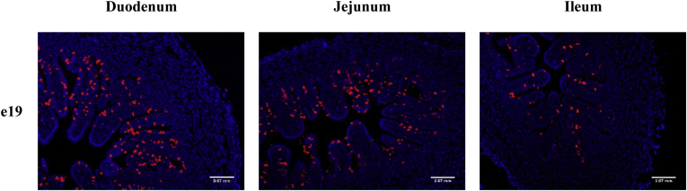 Figure 4