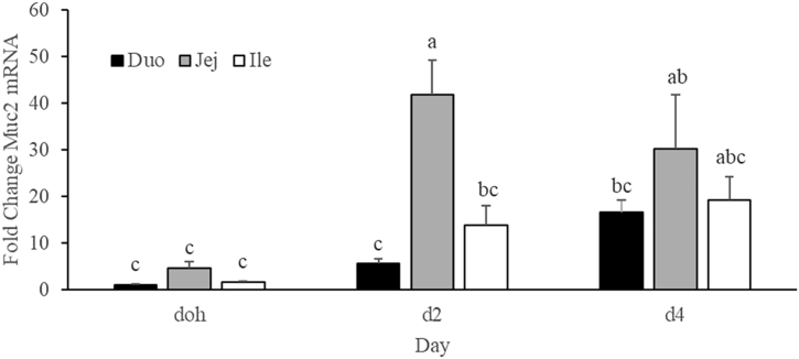 Figure 2