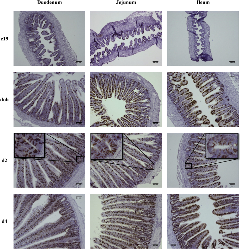 Figure 3