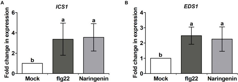 FIGURE 3