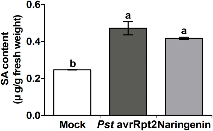 FIGURE 4