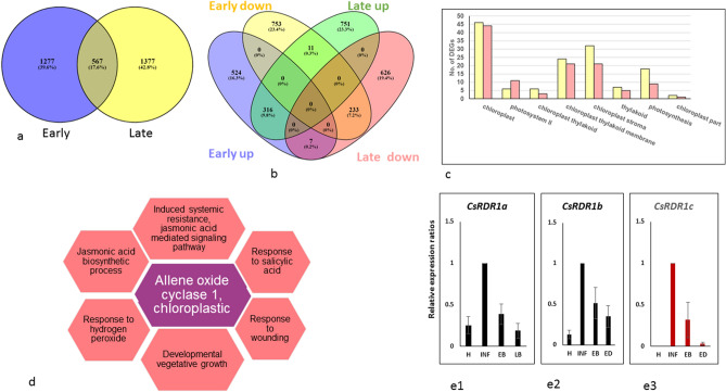 New early phenotypic markers for cucumber green mottle mosaic virus ...