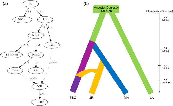 FIGURE 3