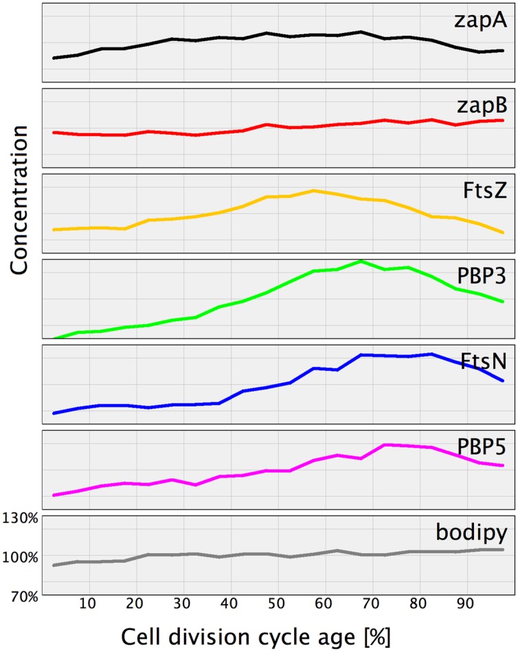 FIGURE 6