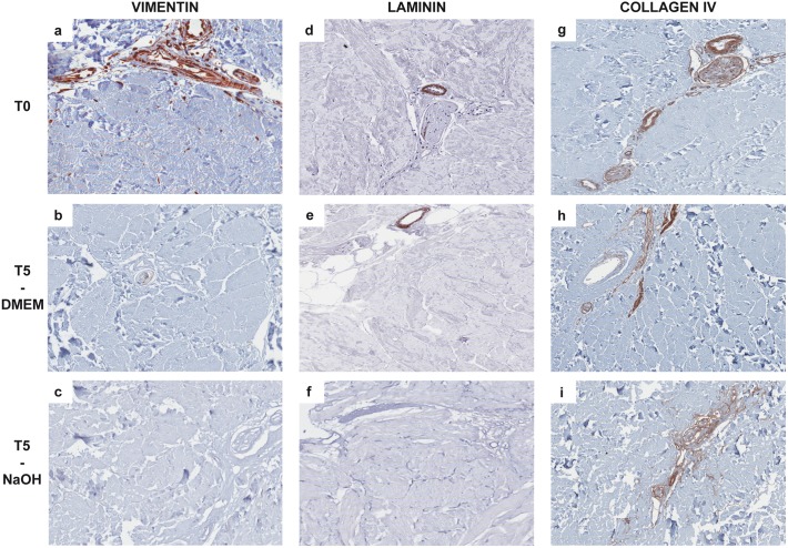 Fig 5