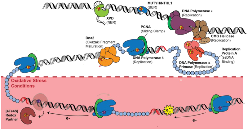 Figure 11.