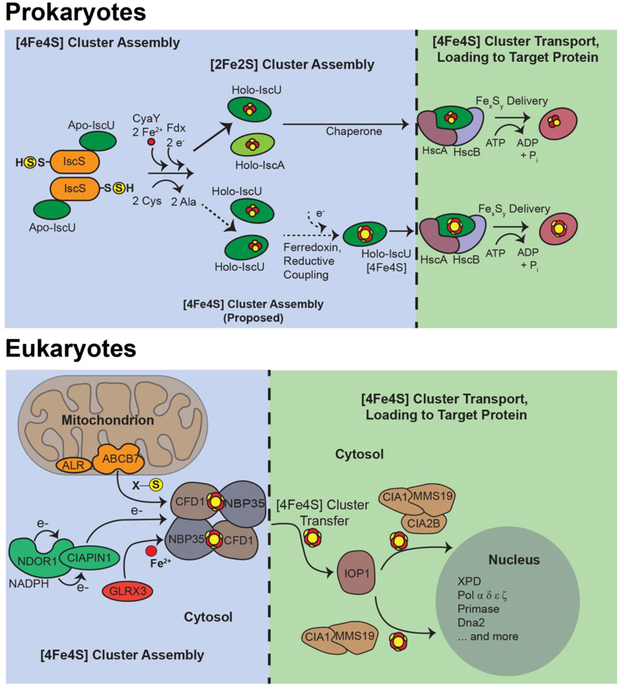 Figure 2.