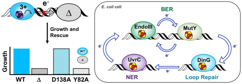 Figure 9.