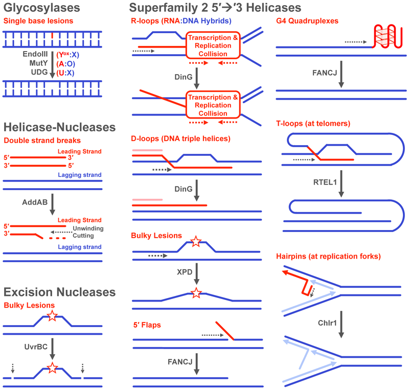 Figure 7.