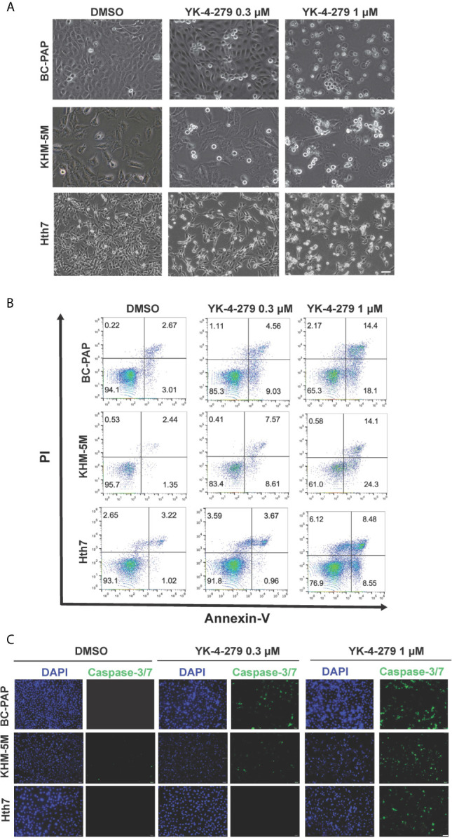 Figure 4