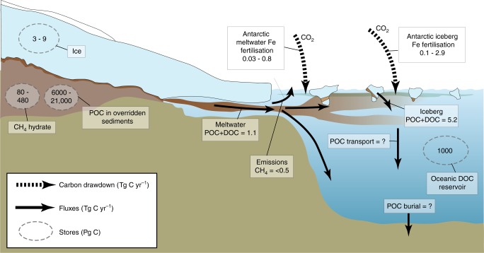 Fig. 7