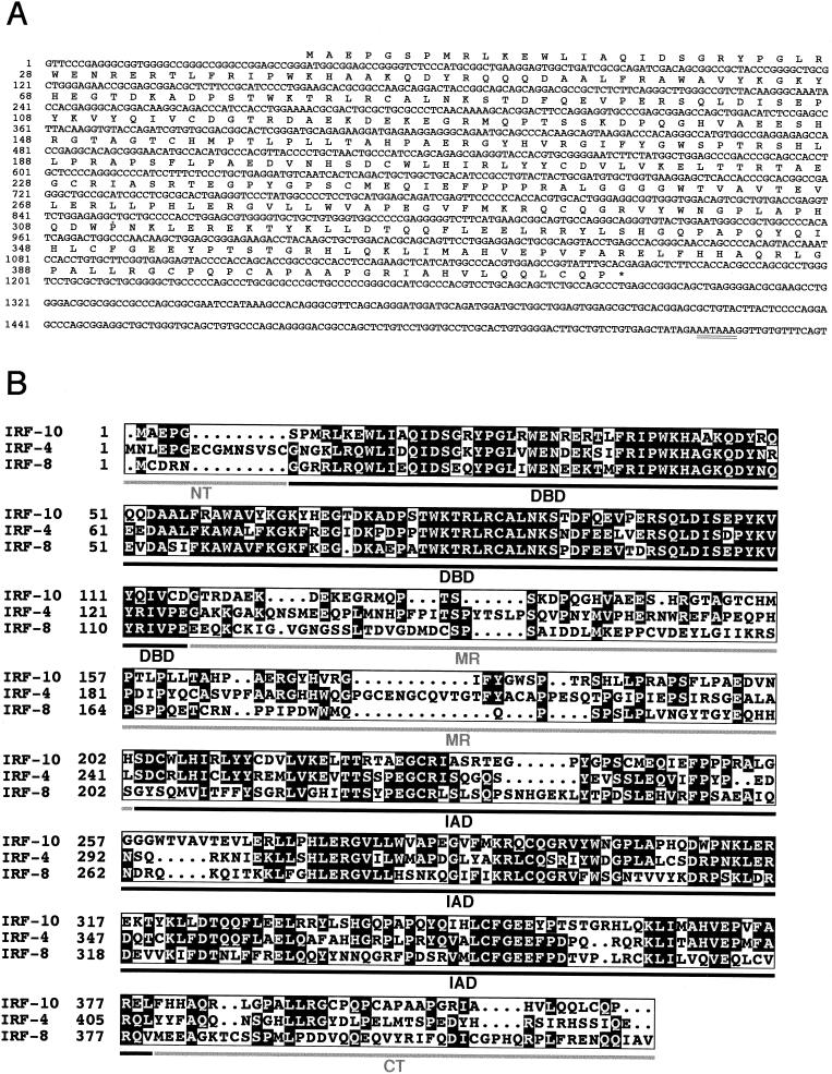 FIG. 1.