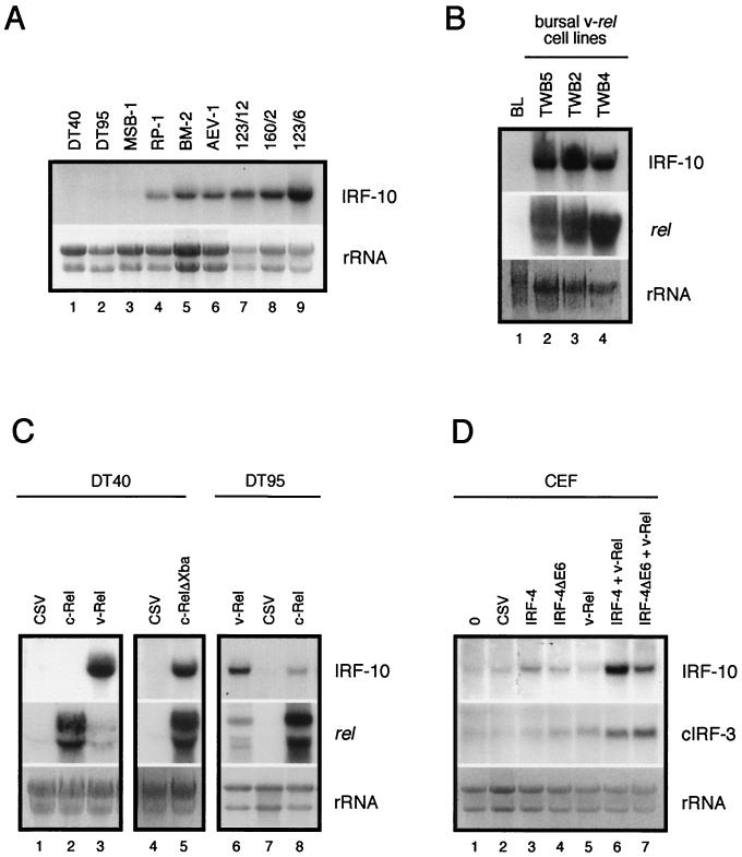 FIG. 10.